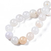 Natural Crackle Agate Beads Strands G-S359-240B-1-2