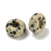 Natural Dalmatian Jasper Beads G-Q173-03A-24-2
