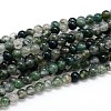 Natural Moss Agate Round Bead Strands G-J303-07-10mm-1