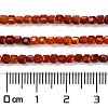 Natural Carnelian Beads Strands G-Q002-C01-02-2