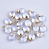 Electroplate Opalite Charms X-G-S344-09G-1