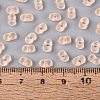 FGB Frosted Transparent Glass Seed Beads SEED-N013-06A-03-4