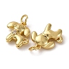 Brass Micro Pave Cubic Zirconia Charms KK-P308-57G-2