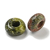 Natural Unakite Beads G-Q173-03A-21-2