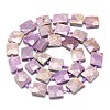 Natural Lepidolite Beads Strands G-G106-D04-02-2