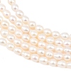 Natural Cultured Freshwater Pearl Beads Strands PEAR-D003-01A-4