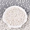 FGB Baking Paint Glass Seed Beads SEED-Q040-09A-01-2