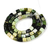 Natural Serpentine Beads Strands G-T141-90A-2