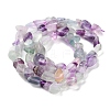 Natural Colorful Fluorite Beads Strands G-P497-01C-18-3