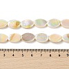 Natural Freshwater Shell Beads Strands X-BSHE-H018-06-4