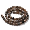 Natural Black Moonstone Beads Strands G-A219-A01-03-2