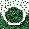 Opaque Colours Glass Seed Beads SEED-N007-39A-02-2