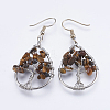 Natural Gemstone Dangle Earrings EJEW-F147-H-2