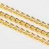 Iron Twisted Chains Curb Chains X-CHS003Y-G-1