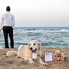 Velvet Rhinestones Detachable Pet Wedding Couple Ring Bearer Box RDIS-WH0019-08A-6