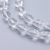 Glass Beads Strands LS-GLAA-R024-11x8mm-12-3