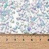 Baking Paint Glass Seed Beads SEED-F005-01A-09-4