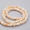 Natural Shell Bead Strands X-BSHE-P021-03-2