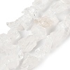 Natural Quartz Crystal Beads Strands G-Q023-A02-01-1