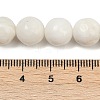 Natural White Shell Beads Strands BSHE-U002-01-5