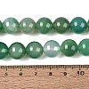 Dyed Natural Agate Beads Strands G-Q606-12MM-A02-4