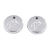 Non-Tarnish 316 Surgical Stainless Steel Charms STAS-S116-418F-P-2