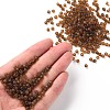 6/0 Glass Seed Beads SEED-US0003-4mm-M13-4