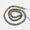 Natural Labradorite Round Bead Strands G-M262-5mm-09-2