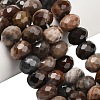Natural Petrified Wood Beads Strands G-C259-A06-8x12mm-01-1
