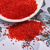 MIYUKI Delica Beads SEED-X0054-DB0704-1
