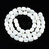 Natural Trochid Shell/Trochus Beads Strands SSHEL-N027-130B-01-2