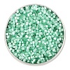 Opaque Glass Seed Beads SEED-CJC0002-01-1