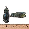 Natural Labradorite Carved Big Pendants G-B085-14P-3