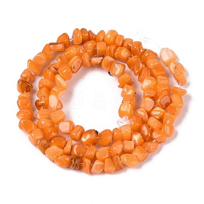 Natural Freshwater Shell Beads Strands SHEL-N037-04F-1
