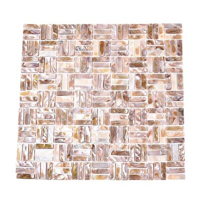 Natural Freshwater Shell Mosaic Tile Cabochons SHEL-Q029-02-1