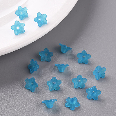 Transparent Acrylic Beads X-PL554-10-1
