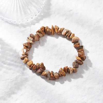 Natural Picture Jasper Beads Stretch Bracelets for Men Women BJEW-JB11845-1