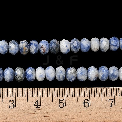 Natural Blue Spot Jasper Bead Strands G-D344-A22-1