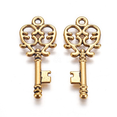 Tibetan Style Alloy Pendants GLF11137Y-1