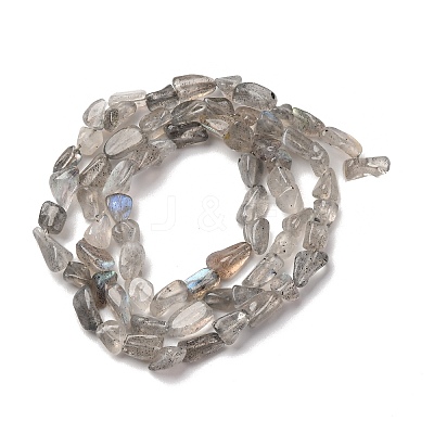 Natural Labradorite Beads Strands G-I389-A35-01B-1