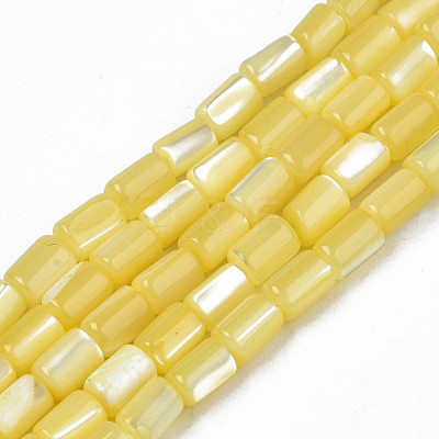 Natural Trochid Shell/Trochus Shell Beads Strands SHEL-N003-26-B10-1