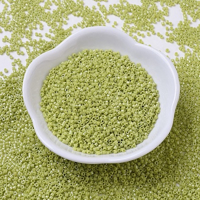 MIYUKI Delica Beads SEED-J020-DB0262-1
