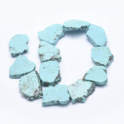 Natural Magnesite Beads Strands G-K244-08-1