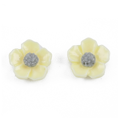 Opaque Resin Cabochons CRES-N030-013-1