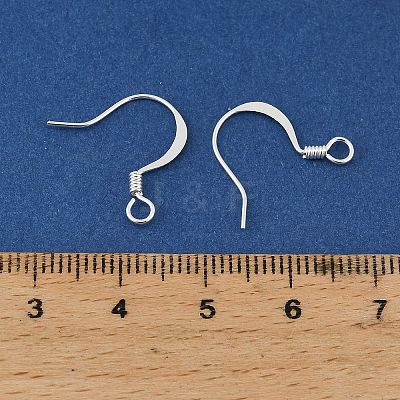 Brass Earring Hooks KK-H258-06E-S-1