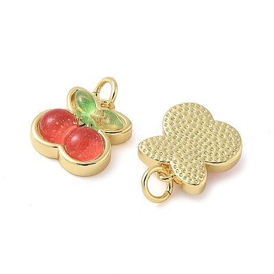 Brass Resin Charms KK-C110-24D-G-1