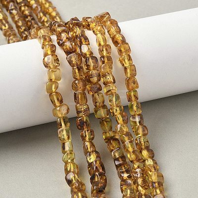 Natural Amber Beads Strands G-L095-E01-06-1