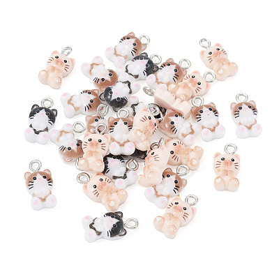 30Pcs Opaque Resin Pendants RESI-TA0004-94-1