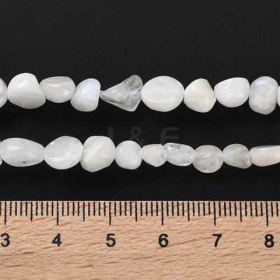 Natural Rainbow Moonstone Beads Strands G-P497-01C-63-1