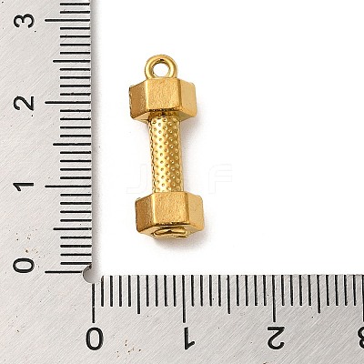 304 Stainless Steel Pendants STAS-K273-01G-1